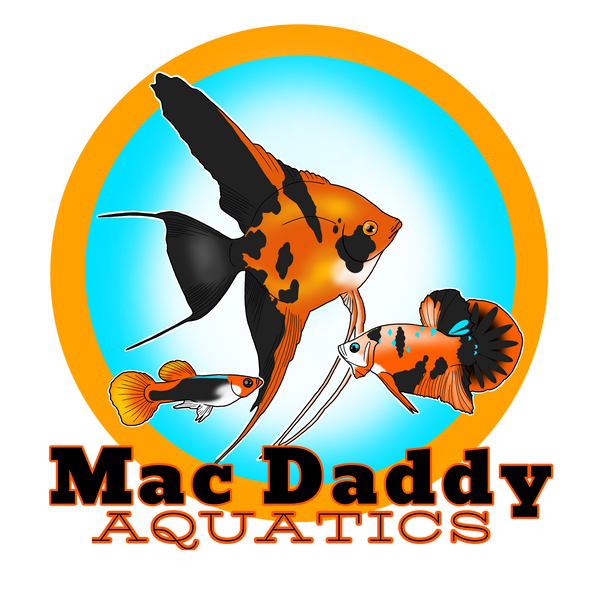 Mac Daddy Aquatics